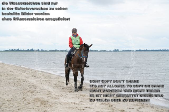 s_K3F04967.JPG